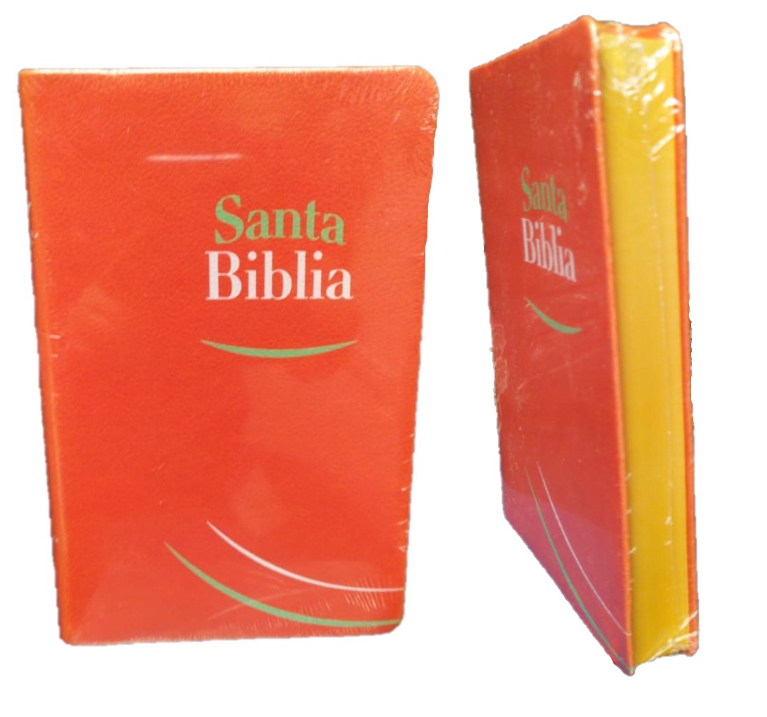 Biblia RVR 65E Tipo Agenda