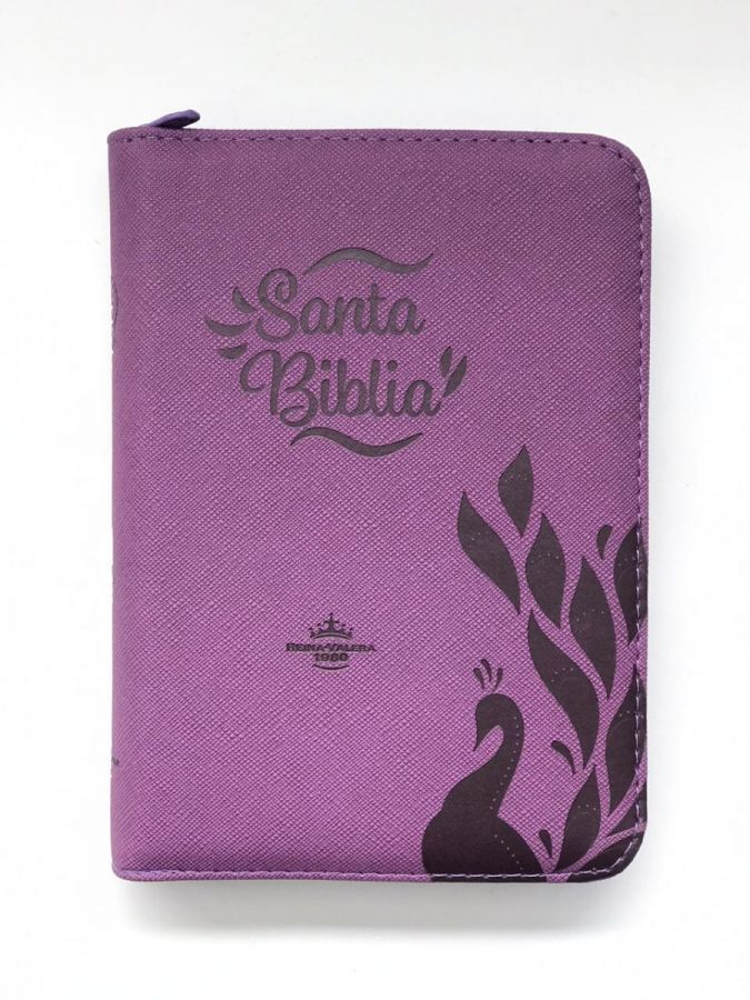 Biblia/RVR045CZTILG PJR/Morado Canto Plateado