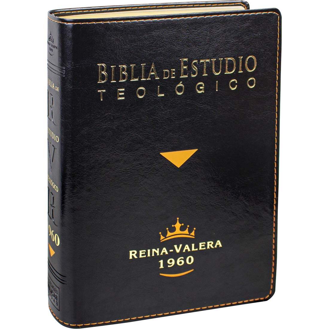 Biblia De Estudio Teologico