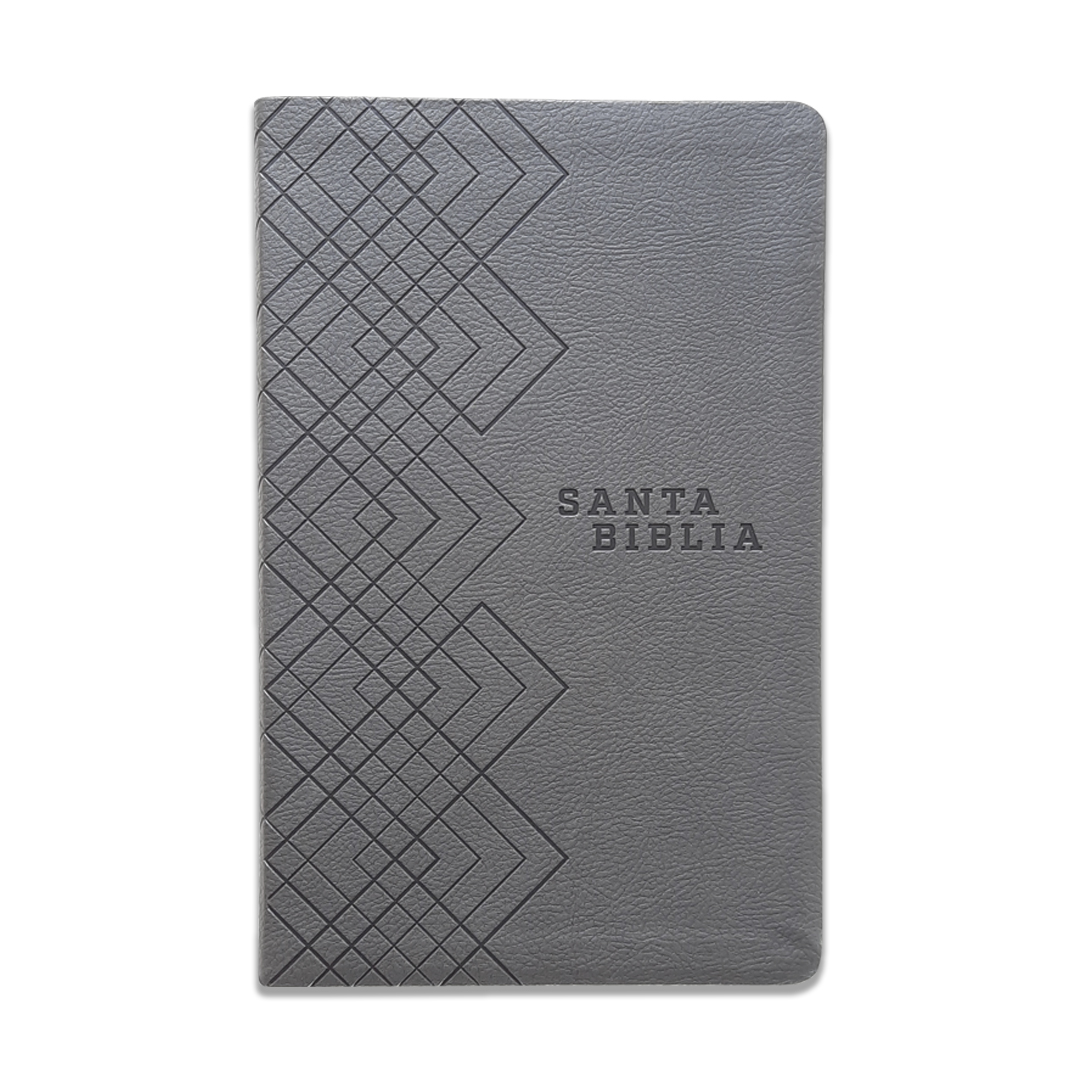 Biblia NTV/Edicion Agape/Sentipiel/Gris