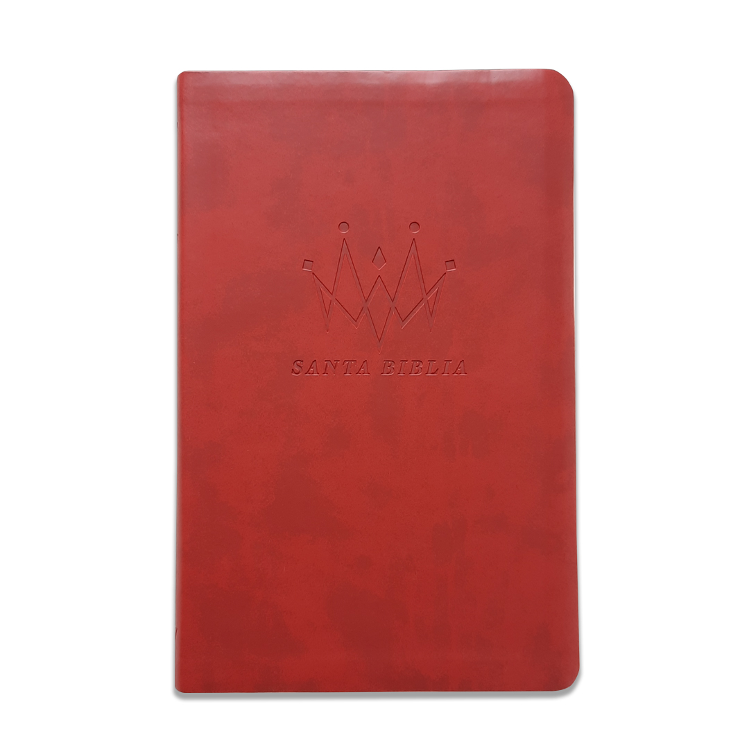 Biblia NTV Edición Agape
