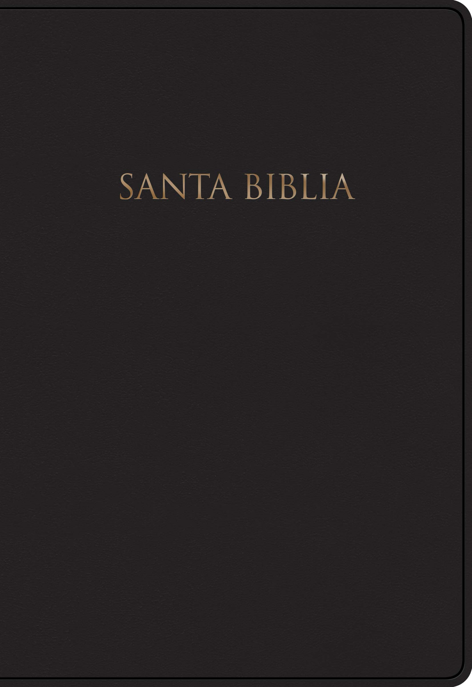 Biblia NVI Regalos Y Premios