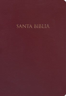 Biblia NVI Regalos Y Premios