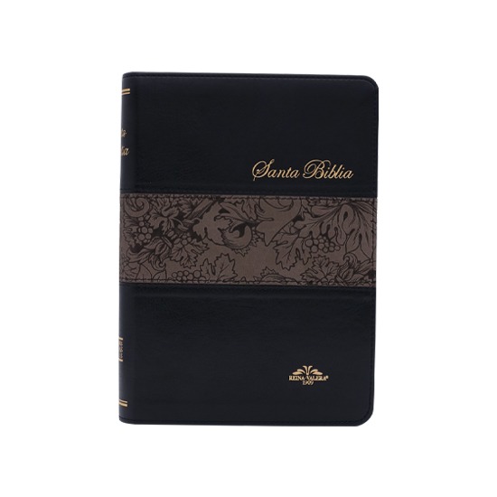 Biblia VR055 Grape Negro