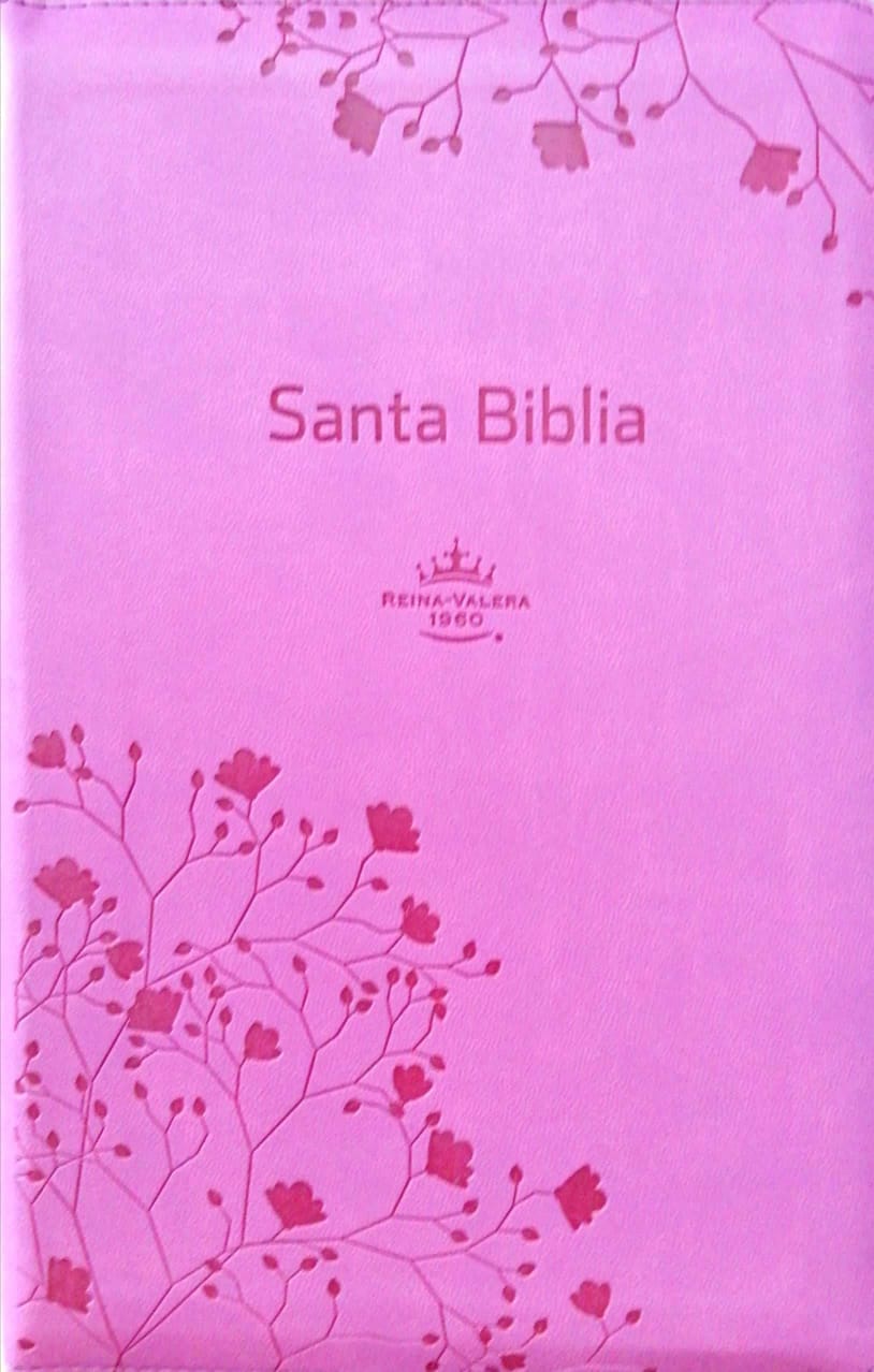 Biblia RVR60 Letra Grande