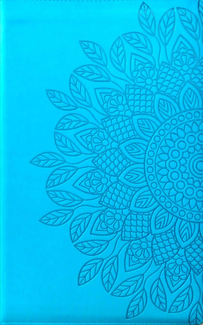 Biblia RVR60 Letra Grande