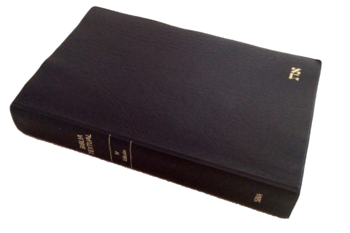 Biblia Textual IV/Piel