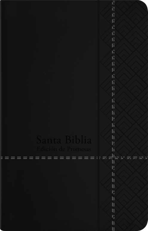 Biblia RVR60 De Promesas Tamaño Manual Negro Imitación Piel