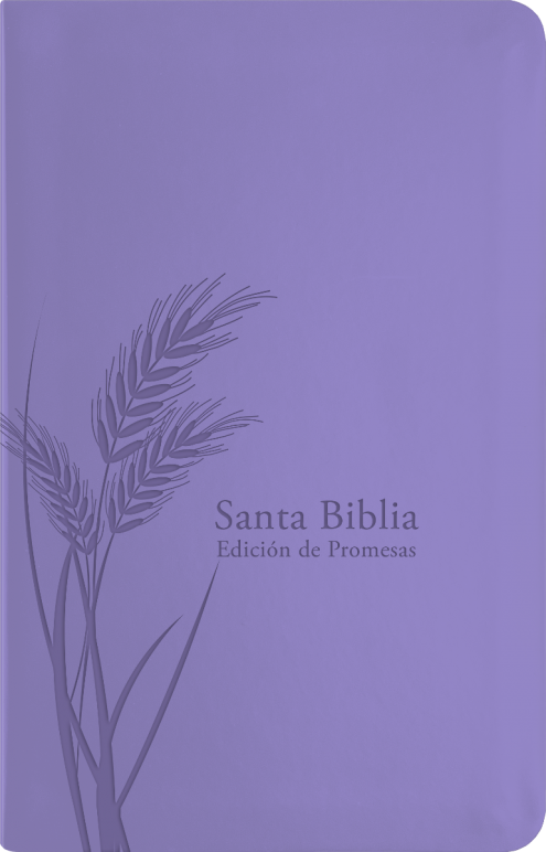 Biblia RVR60 De Promesas Tamaño Manual Lavanda