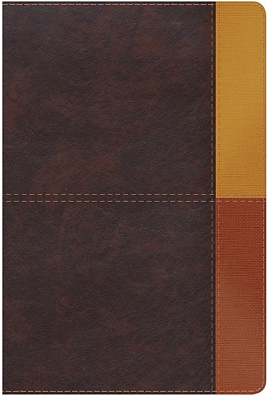 Biblia De Estudio/RVR60/Arcoiris/Cocoa-Terracota/Semil-Piel/Nueva