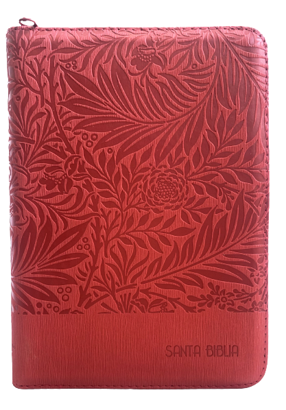 Biblia /RVR056cZTILG /Indice Rojo Canto Plateado