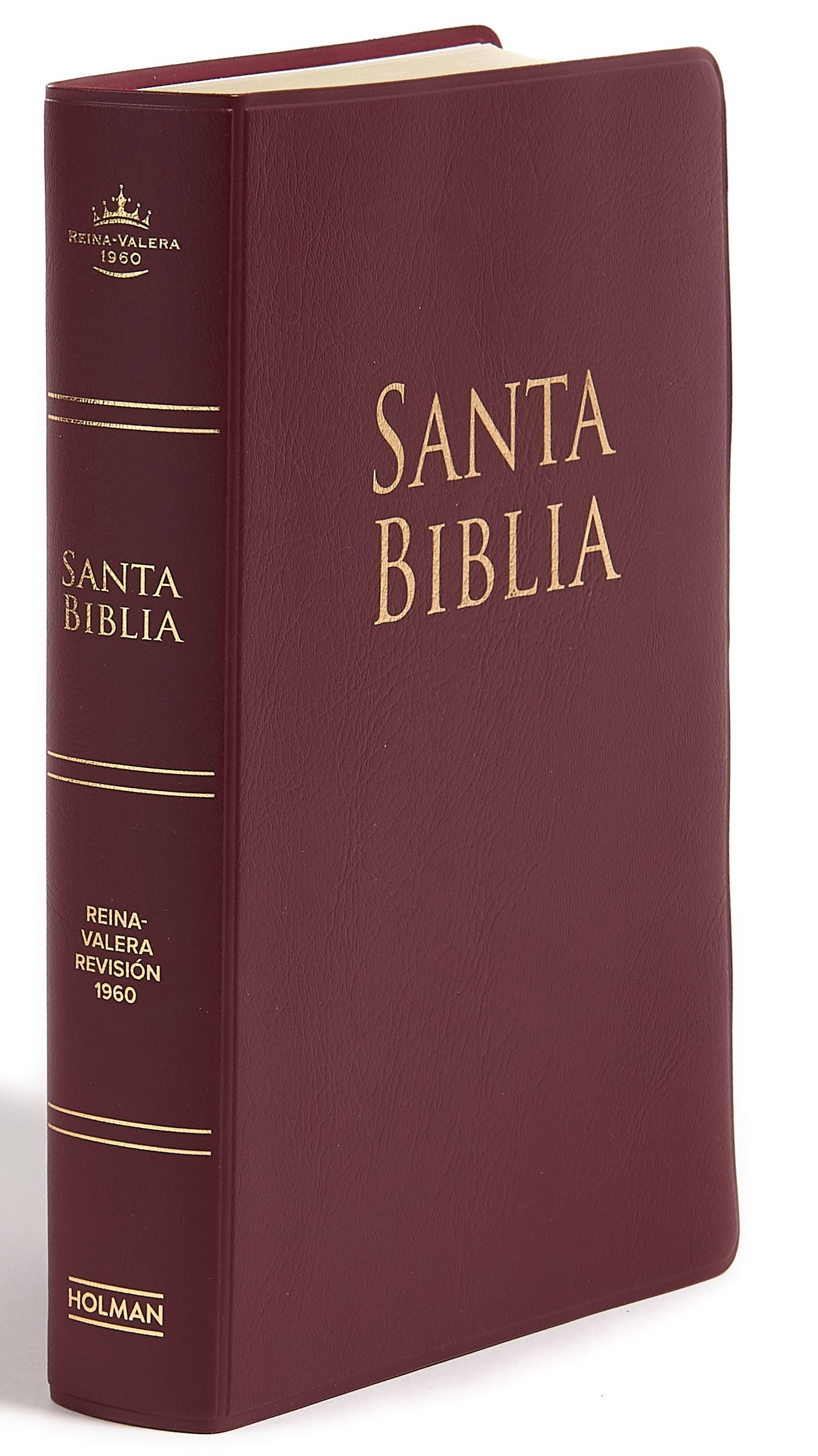 RVR 1960 Biblia Letra Grande Tamaño Manual