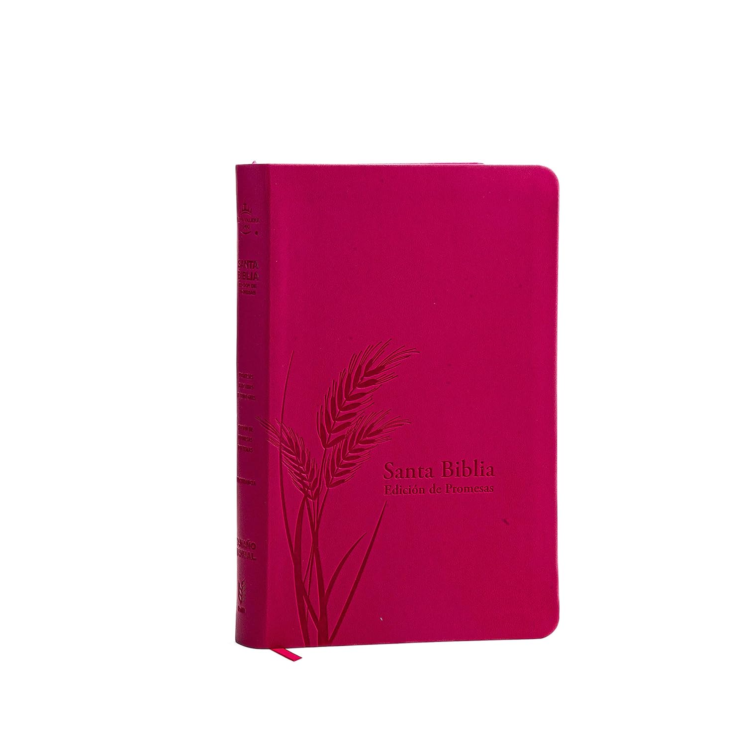 Biblia/RVR60/Promesas/Manual