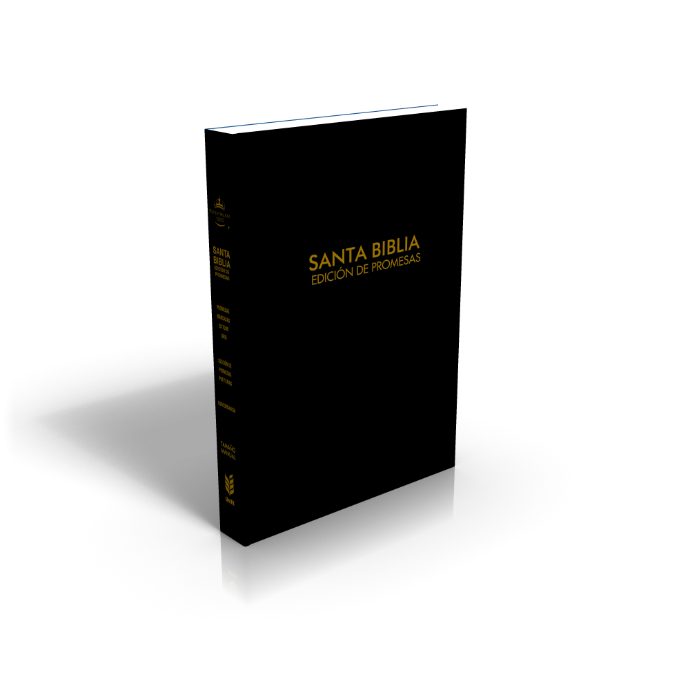 RVR 1960 Biblia de Promesas Letra Grande