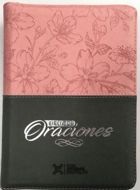 Biblia /RVR056cZLG/ Rosado Gris Canto Plateado Oraciones