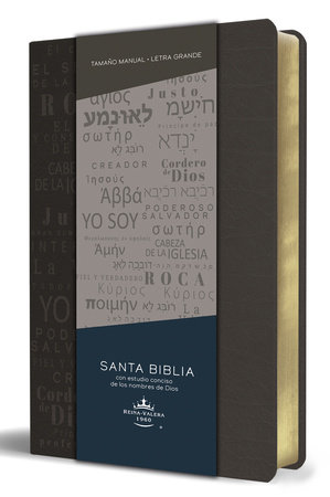 Biblia RVR 1960 Letra Grande
