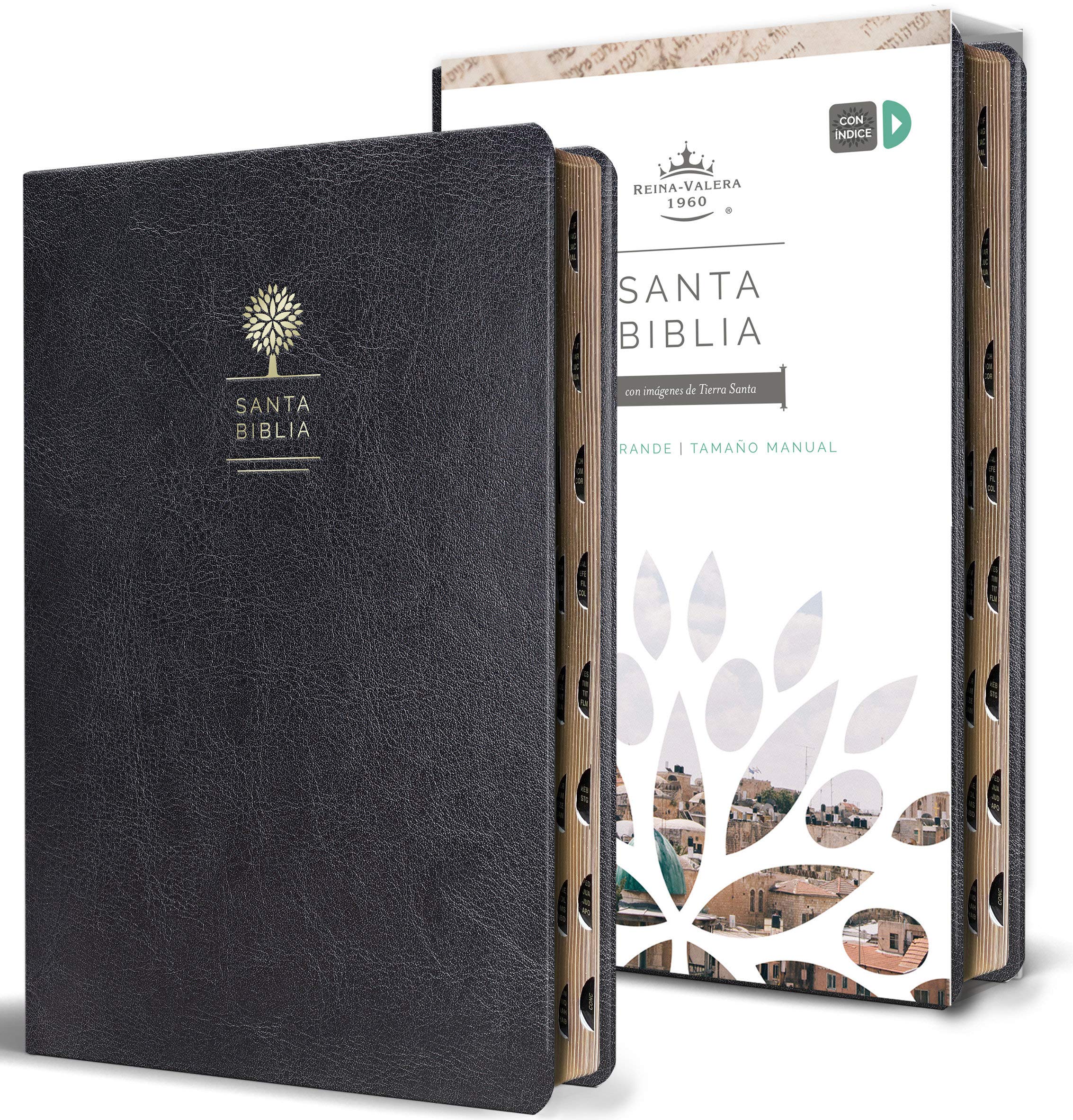 Biblia Reina Valera 1960 letra grande
