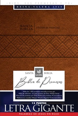 Santa Biblia de Promesas Reina Valera 1960