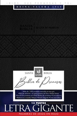 Santa Biblia de Promesas Reina Valera 1960