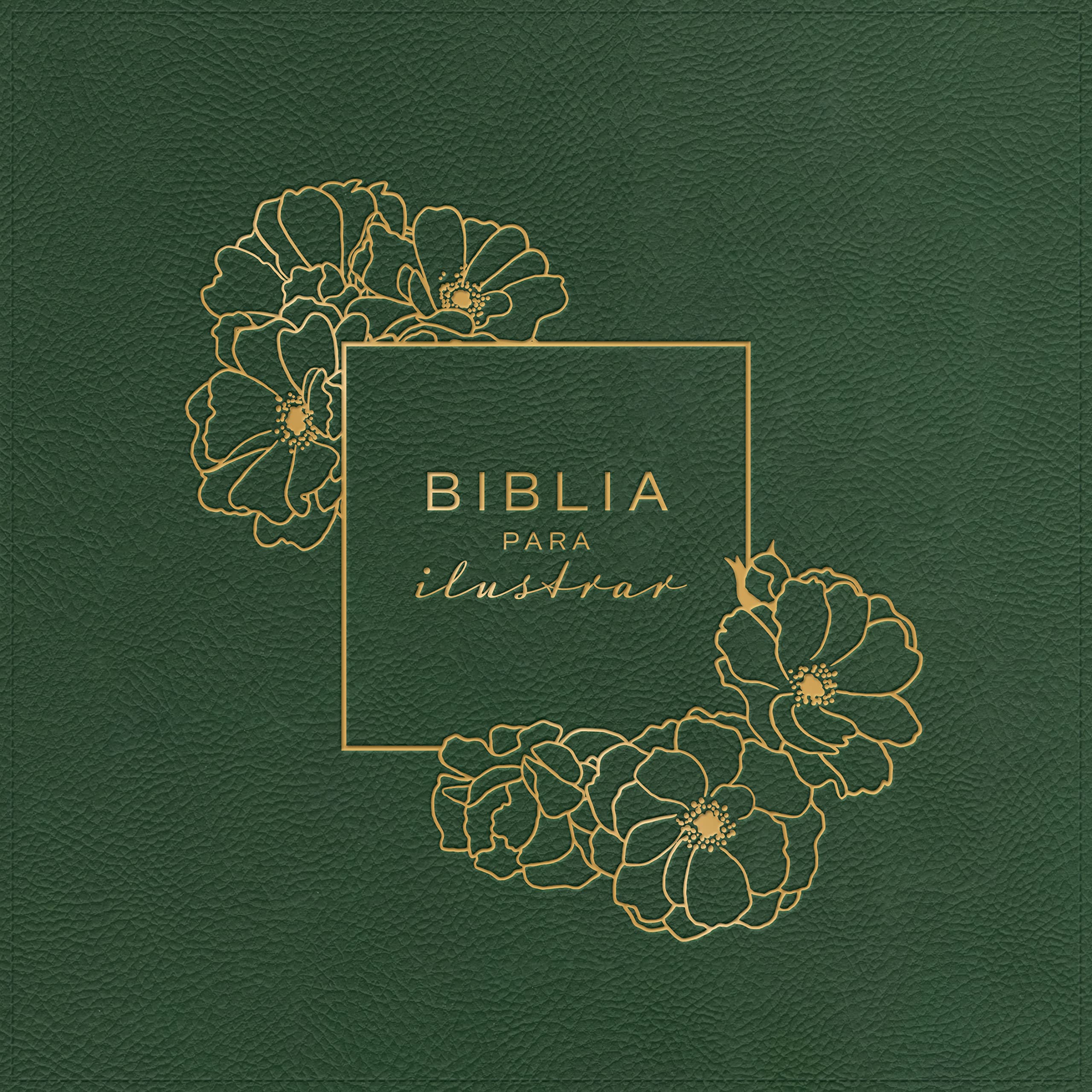 Biblia RVR1960 Para Ilustrar Verde