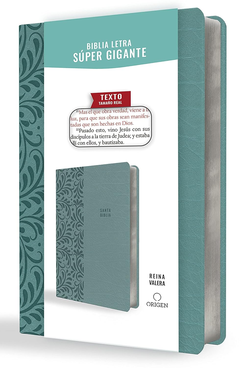Biblia RVR 1909/Letra Super Gigante