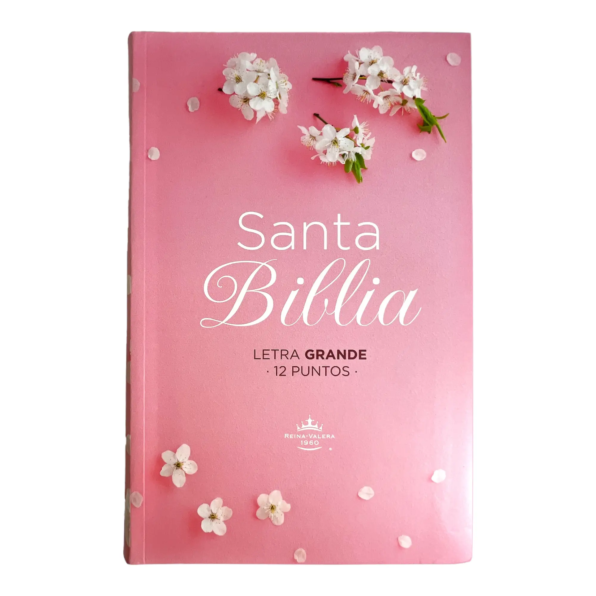 Biblia RV60 Eco Flex C1 Rosada con Flores Blancas