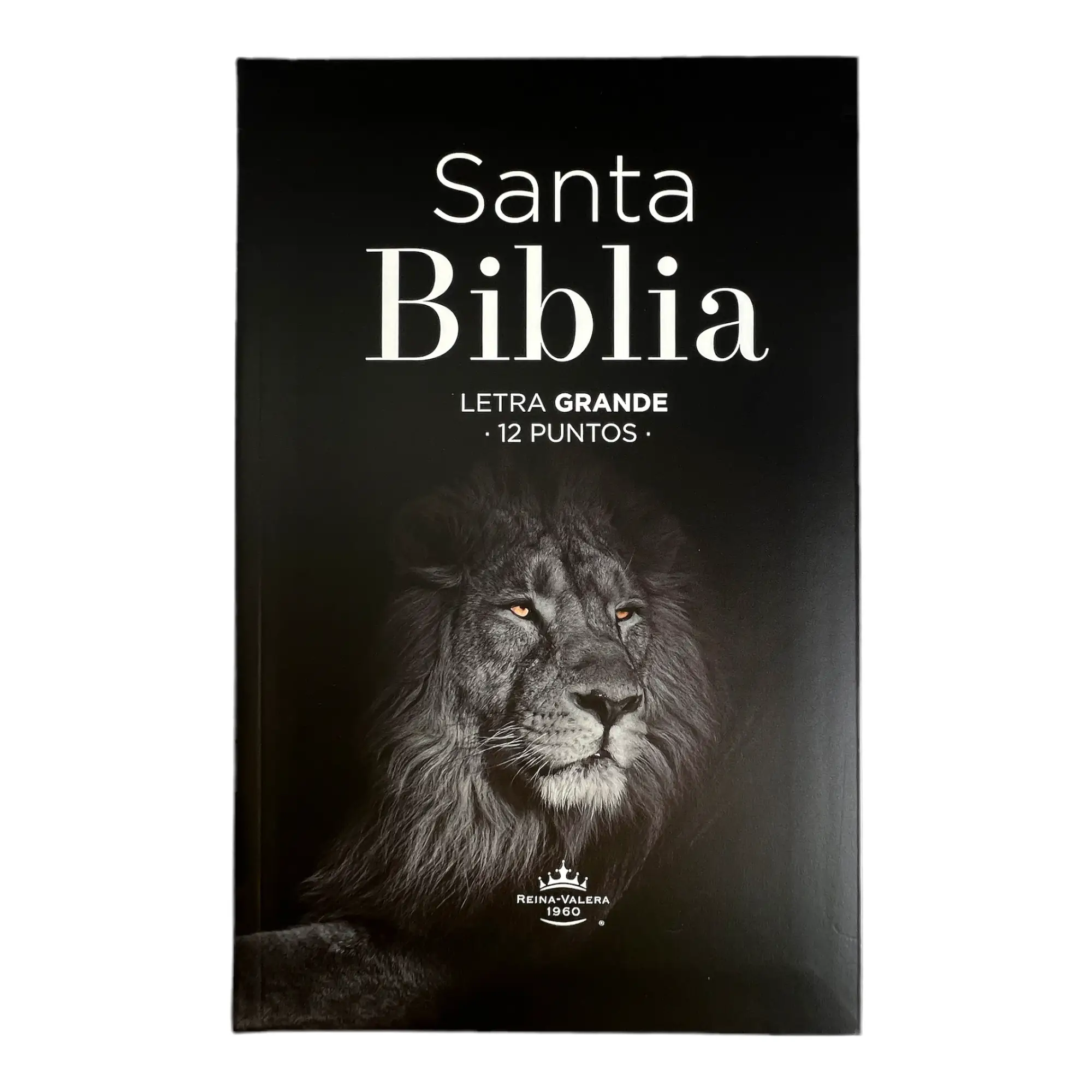 Biblia RV60 Eco Flex C7 León