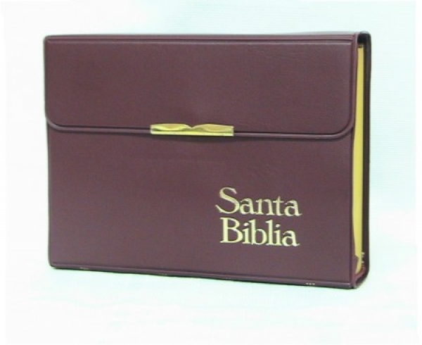 Biblia broche concordancia