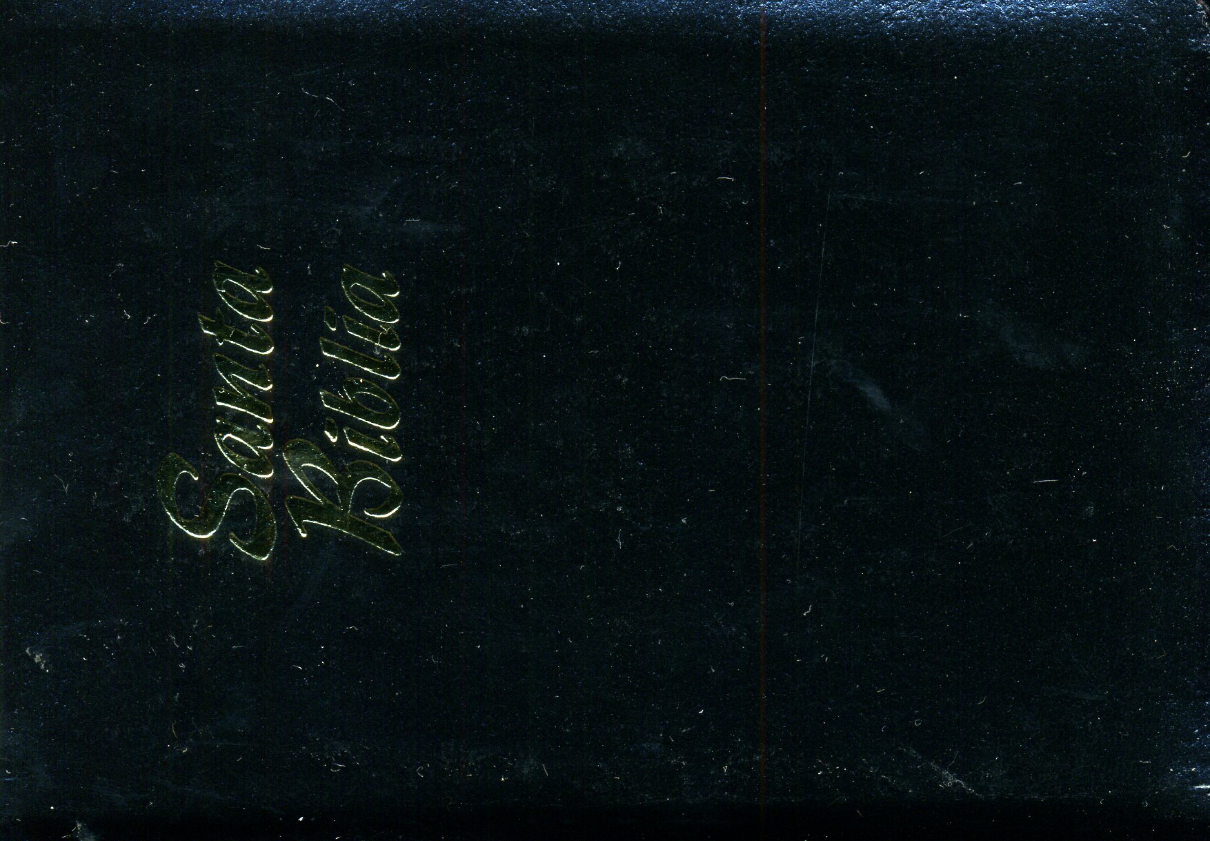 Santa Biblia