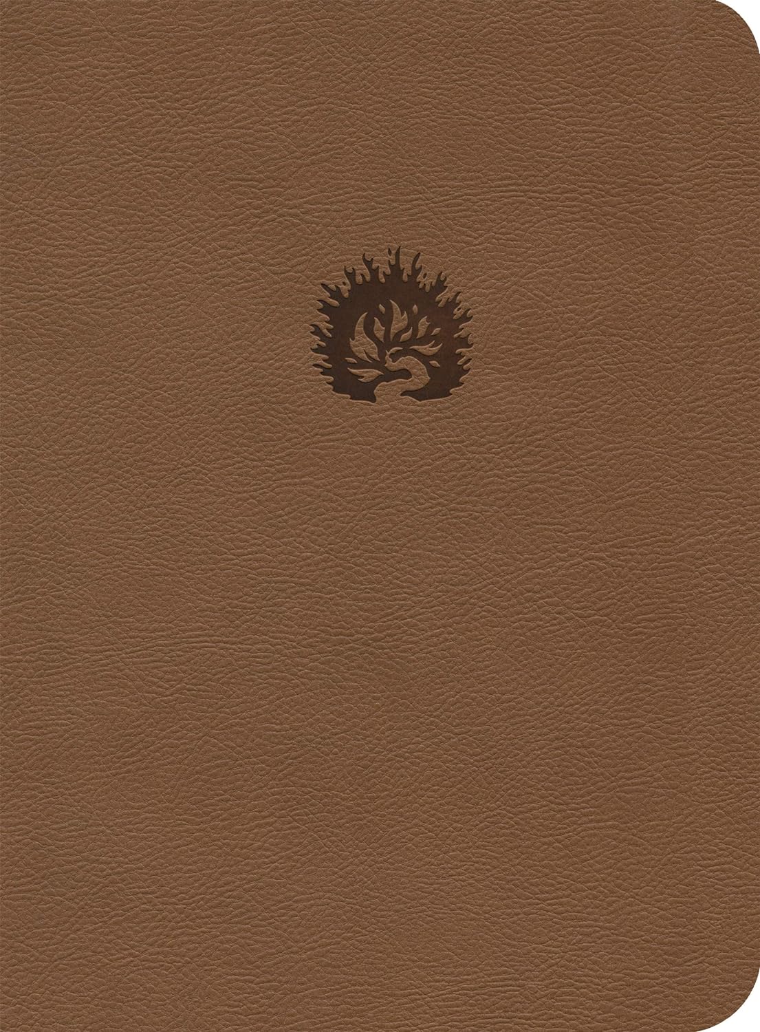 Biblia de Estudio de la Reforma /Café claro