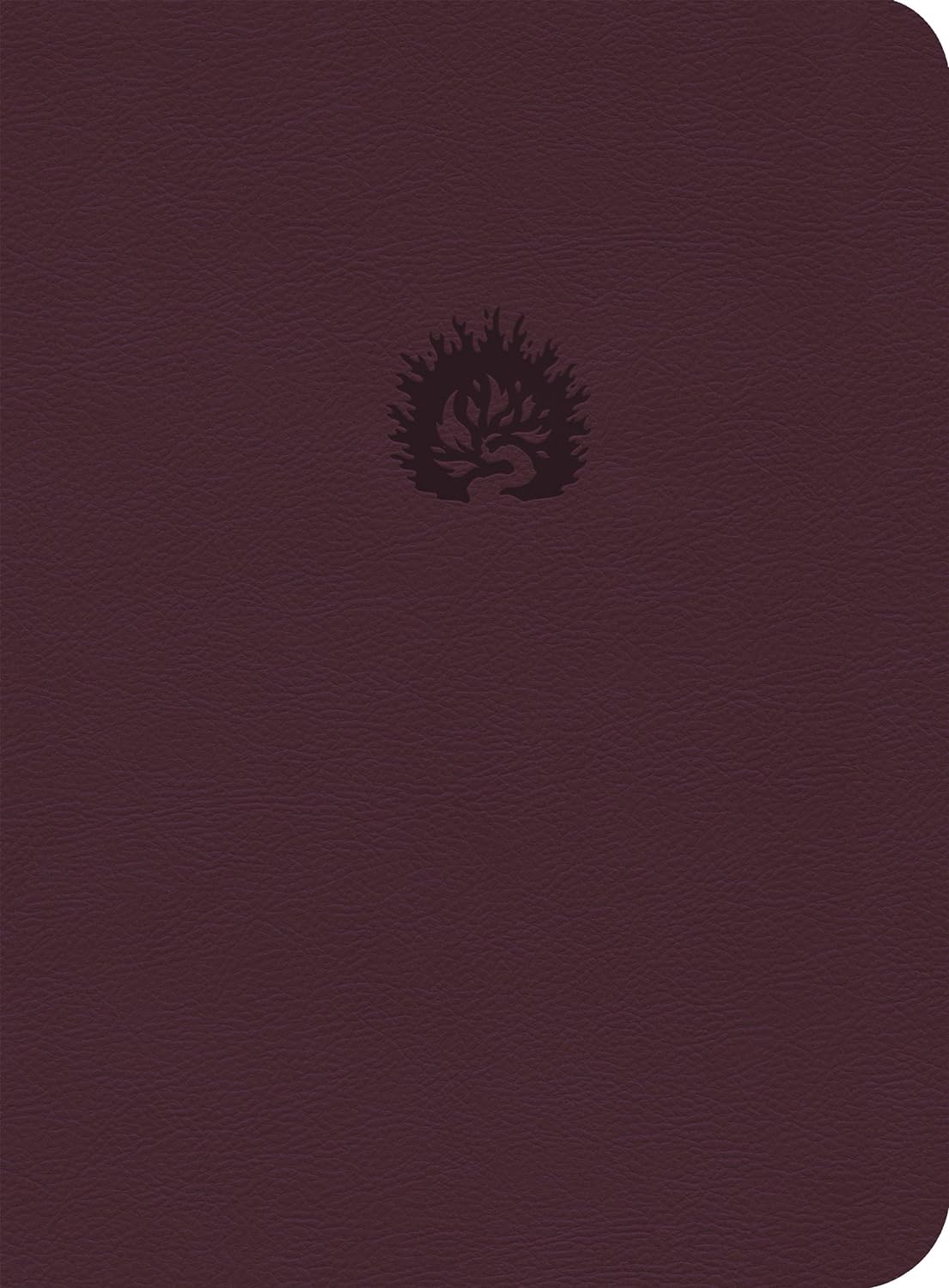 Biblia de Estudio de la Reforma /Ciruela