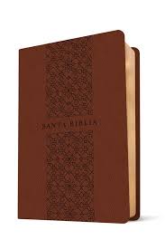 NTV Biblia Edición Compacta Letra Grande