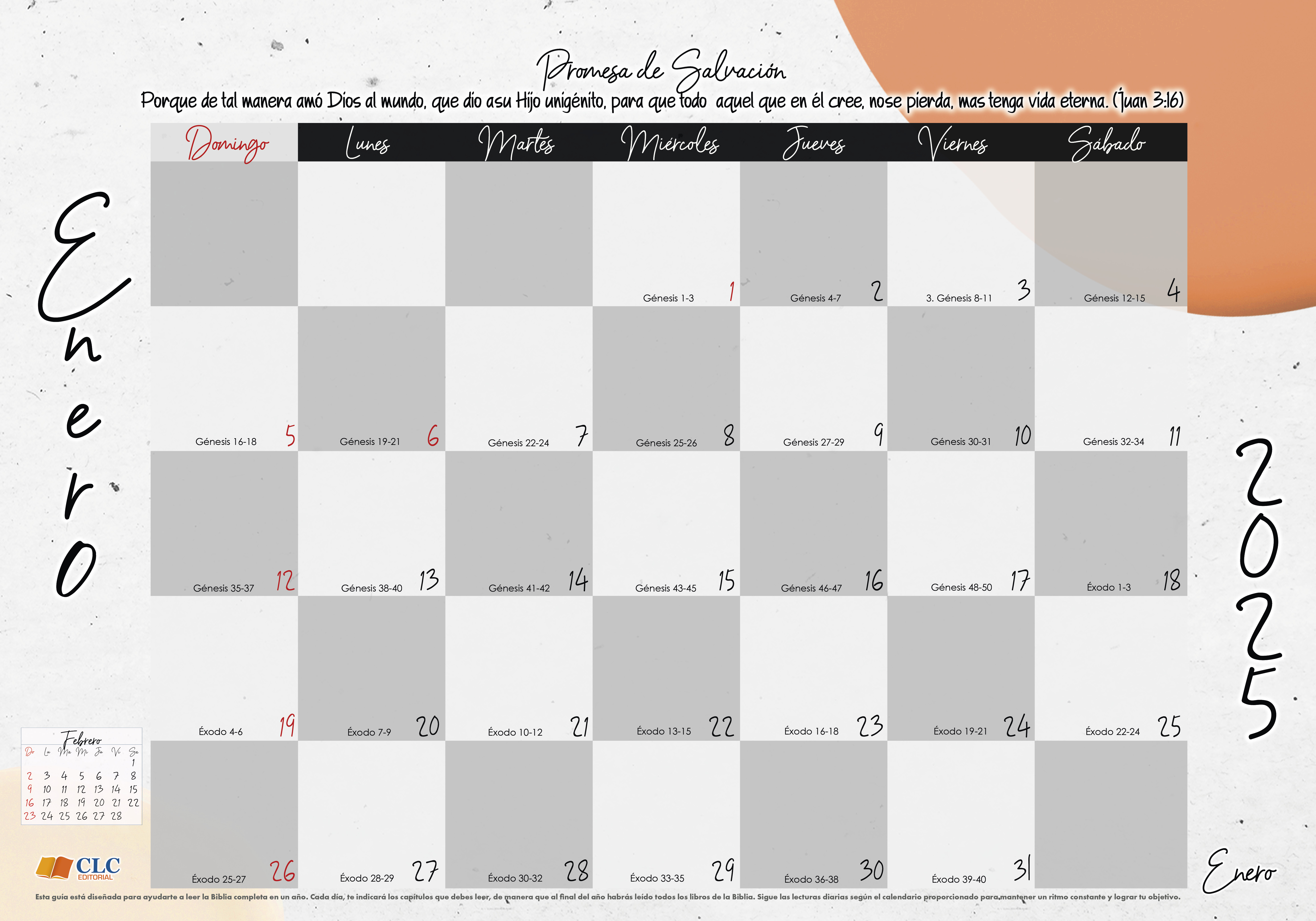 Calendario Programador /Anual De Pared 2025