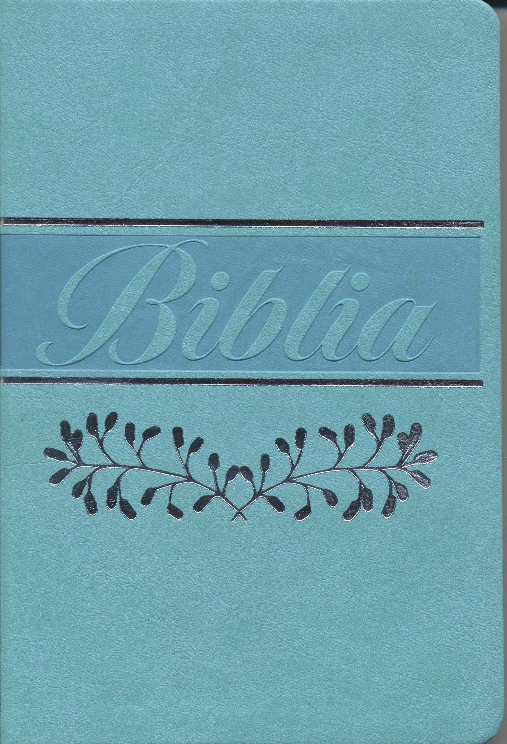 Biblia RVR066eLM/ Verde Menta