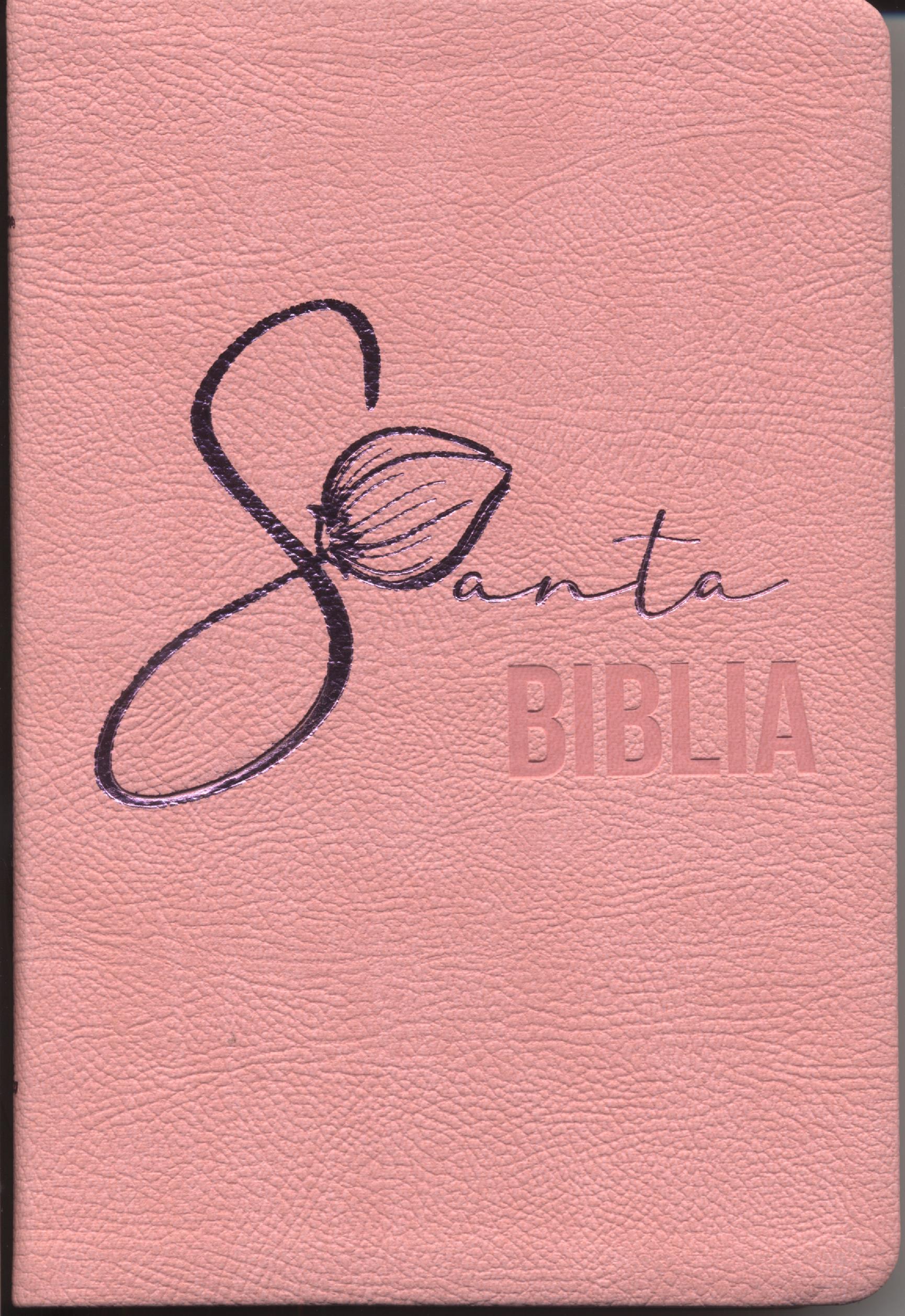 Biblia RVR066eLM/ Rosado