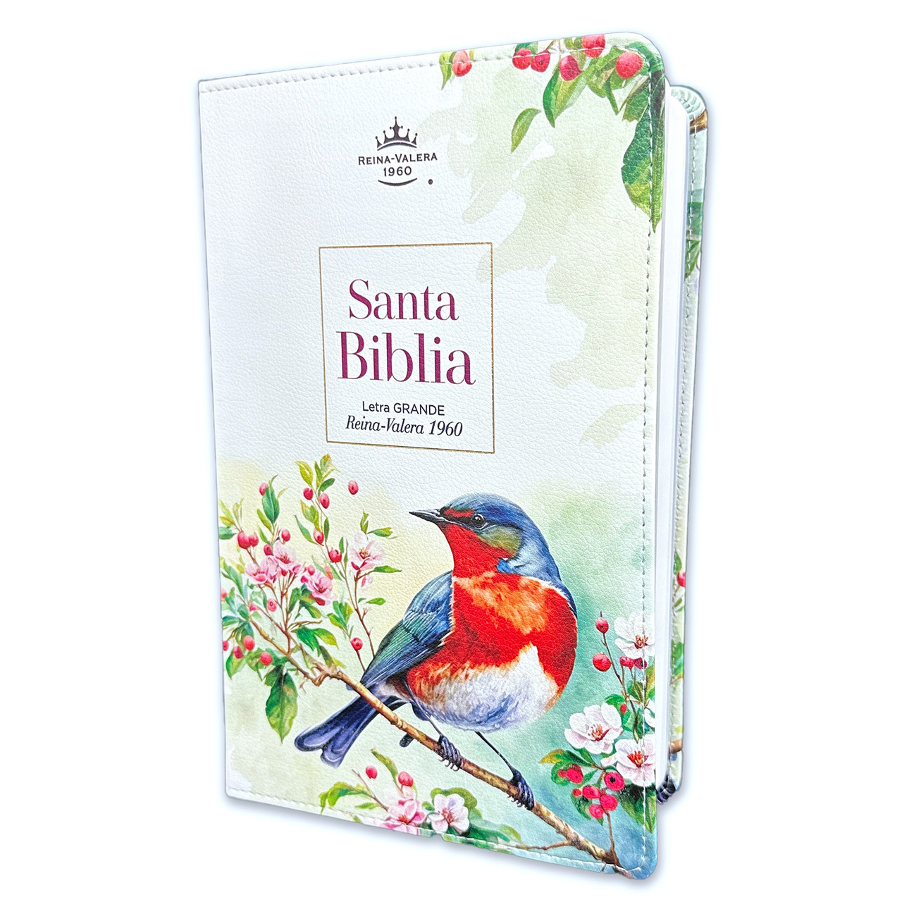 Biblia RVR60/065LG/Supreme/Pajaro Vintage