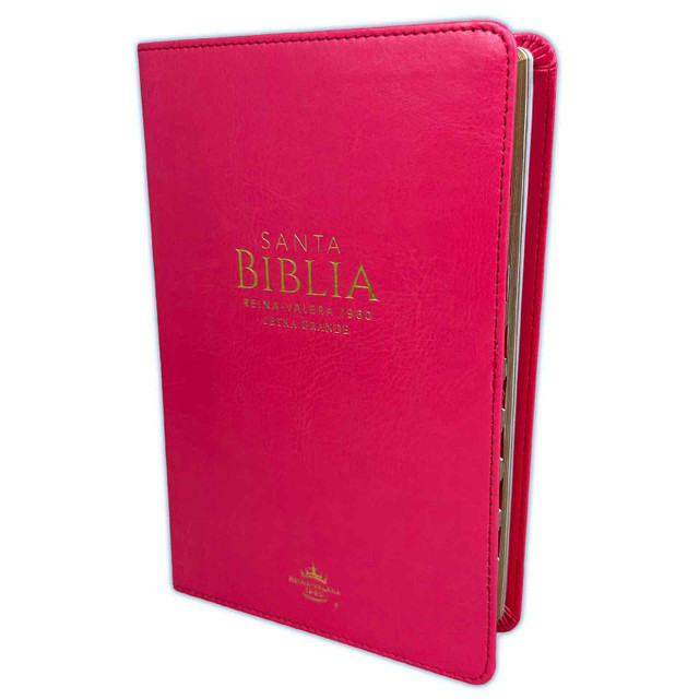 Biblia /RVR6065cti/ LG PJR Clasica Fucsia Indice Canto Dorado