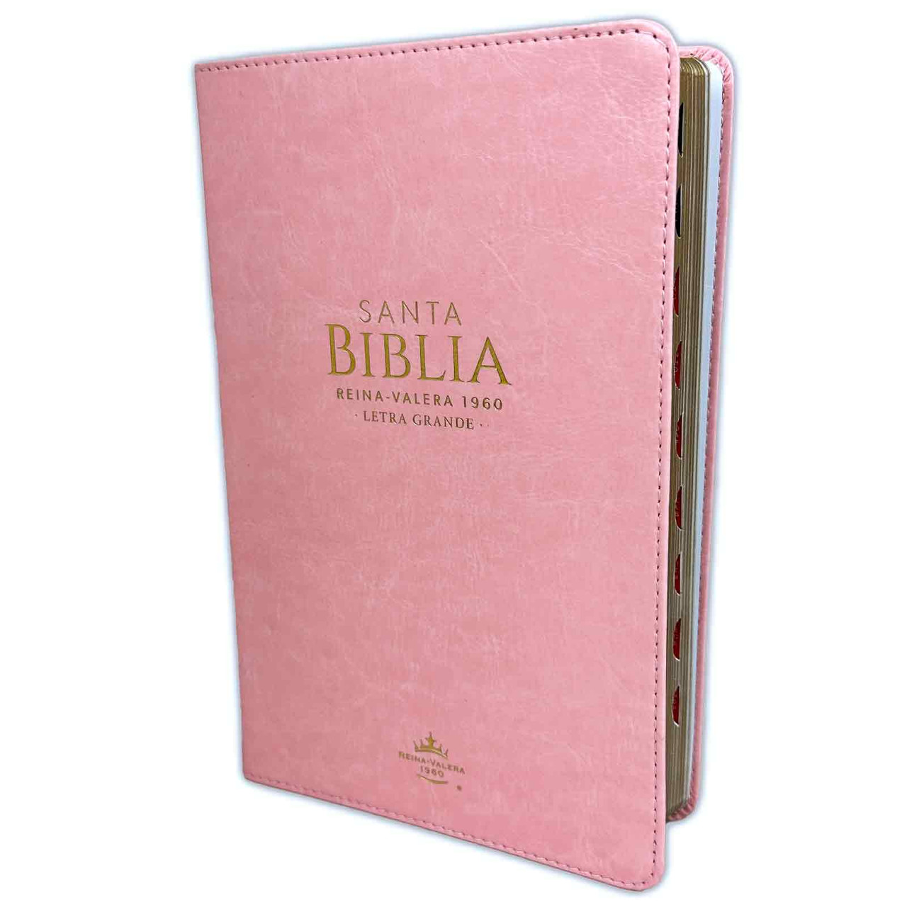 Biblia /RVR6065cti/ LG PJR Clásica Rosa Índice Canto Dorado