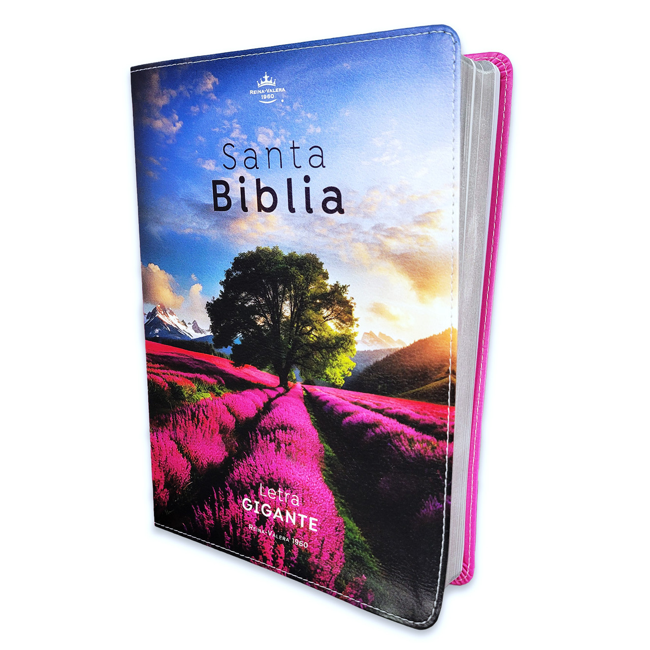 Biblia /RVR6085c /Letra Gigante 15 ptos./PJR Esplendor Arbol