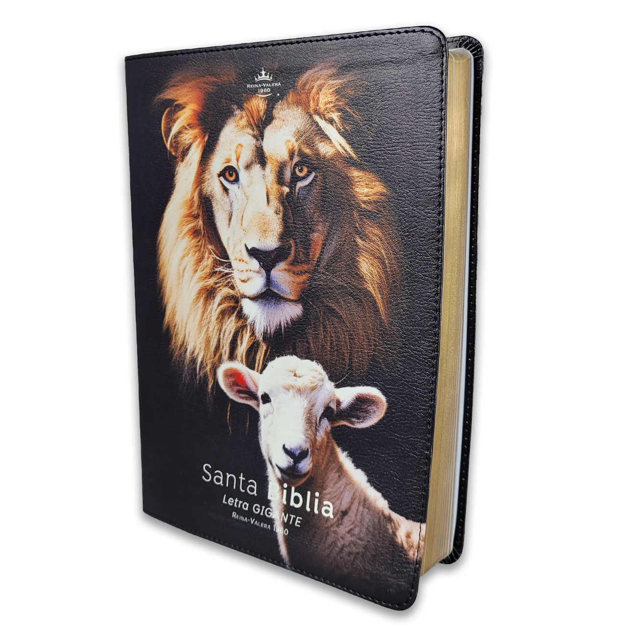 Biblia /RVR6085c /Letra Gigante 15 ptos./PJR Esplendor Leon Cordero Canto Plateado