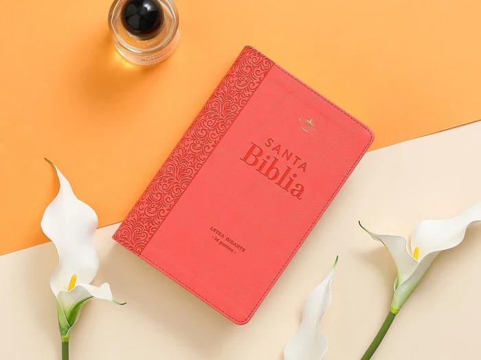 Biblia RVR6068cLGi/ Coleccion Corinto Coral