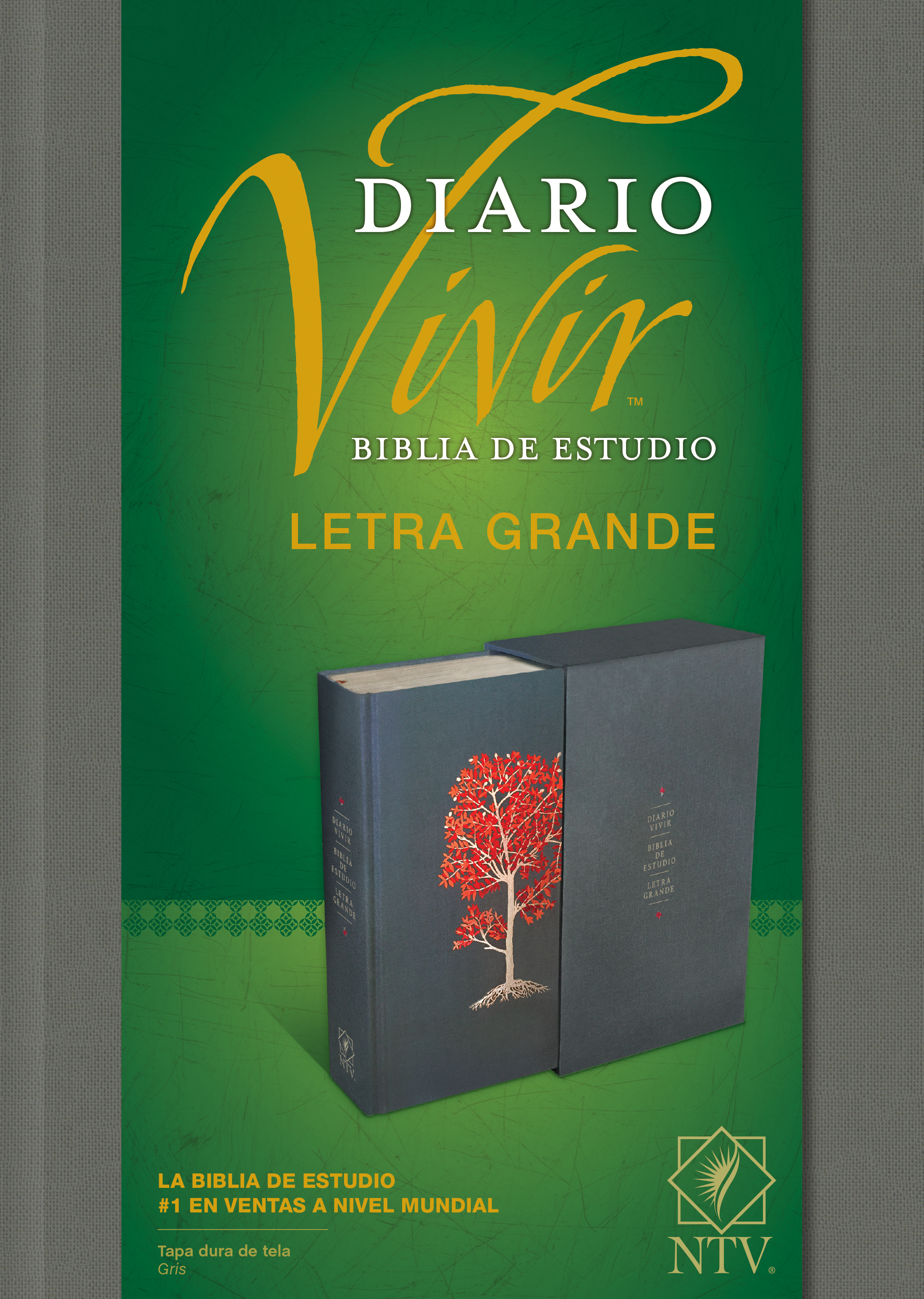 Biblia De Estudio Diario Vivir Estuche Gris