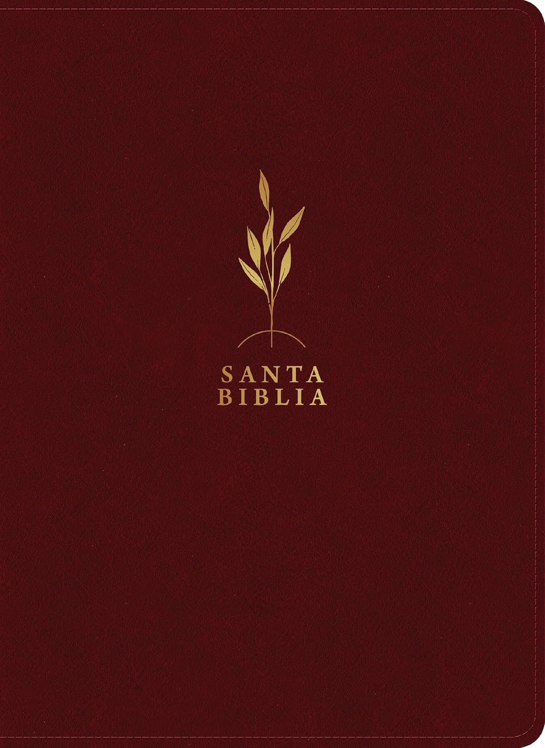 Biblia de estudio del diario vivir RVR60, letra grande