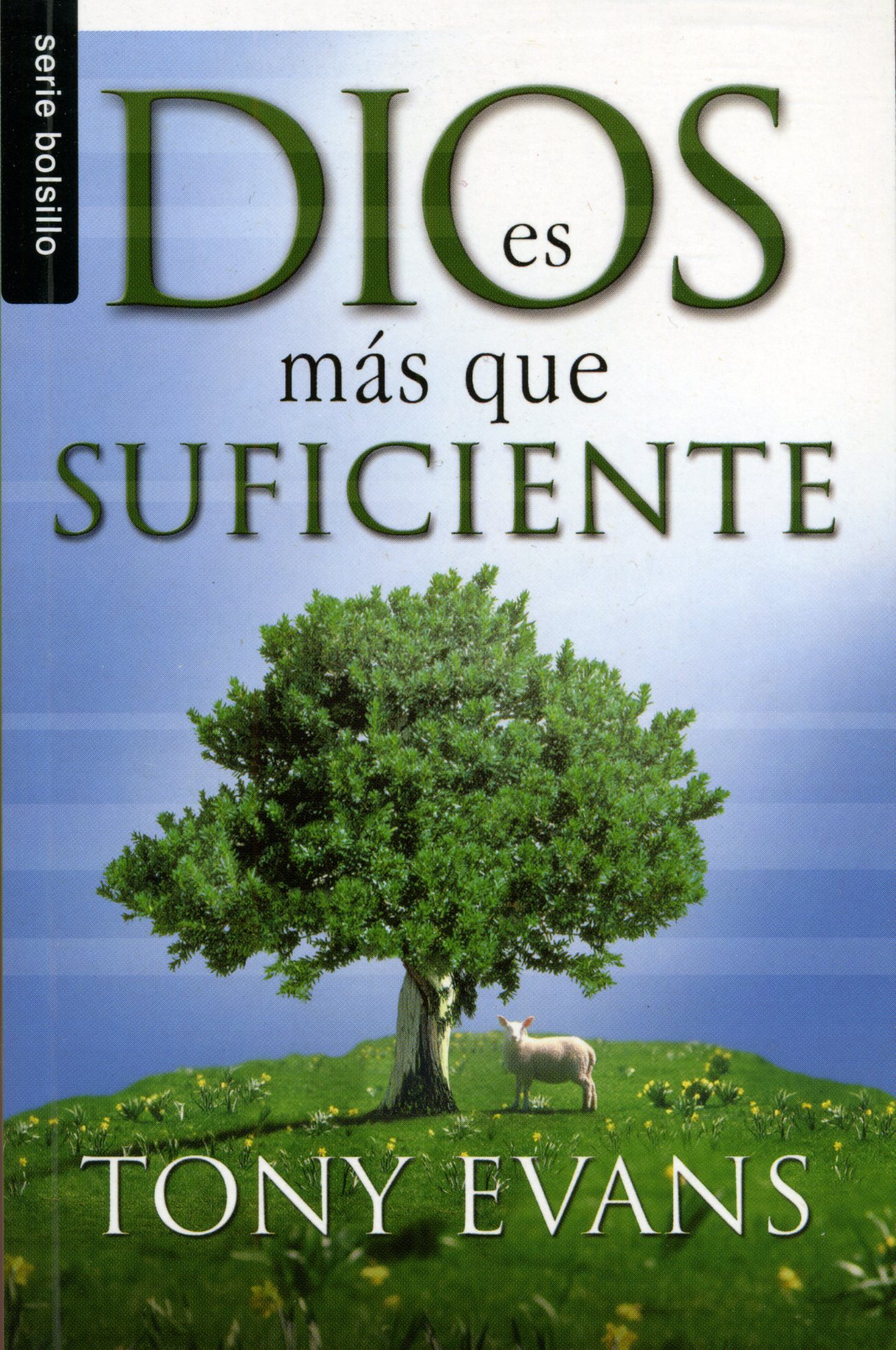 Dios es más que suficiente
