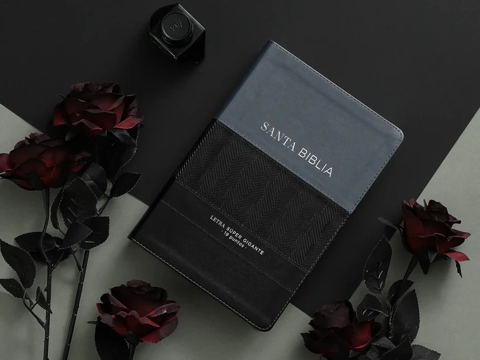 Biblia RVR6088cti/ Negro Gris/ Super G. 19pts./ Indice Efeso