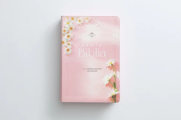 Biblia RVR6088cCP/ 19pts Mujer Virtuosa Canto Pintado