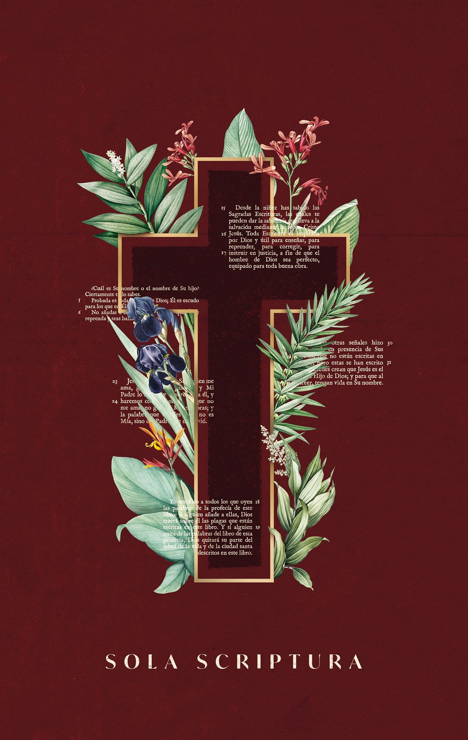 Biblia/NBLA/Sola Scriptura