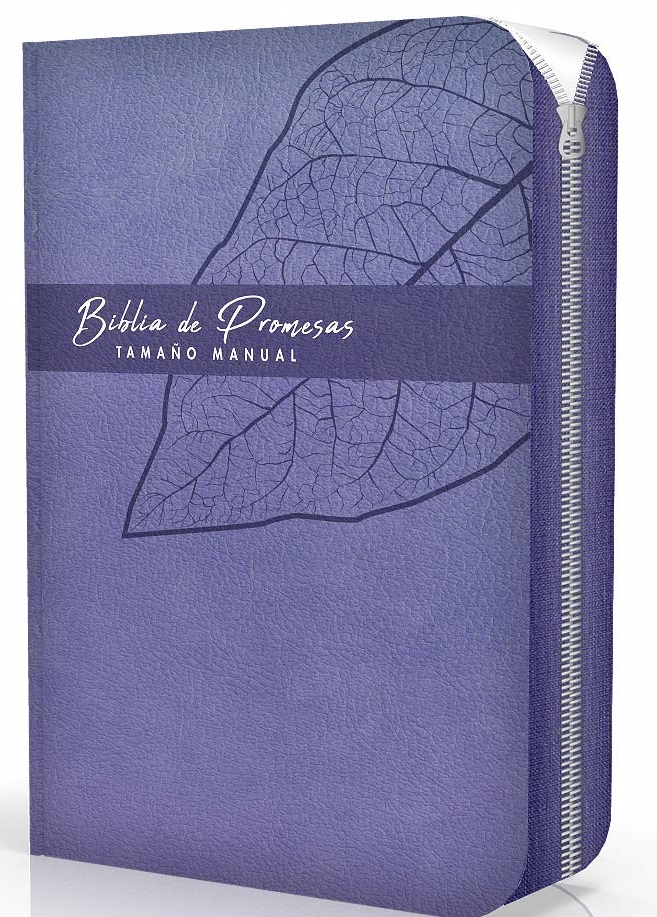 Biblia De Promesas RVR60 Tamaño Manual