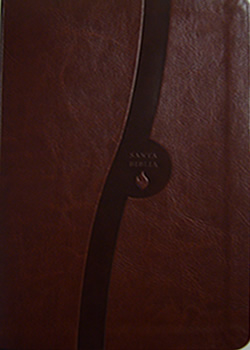 Biblia Edición Regalo Marrón