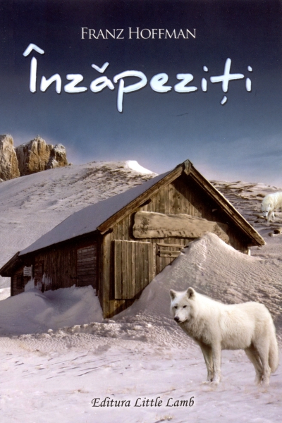 Înzăpeziţi